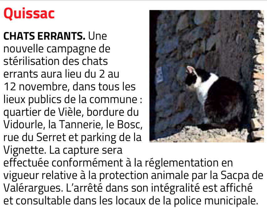 campagne-des-errants