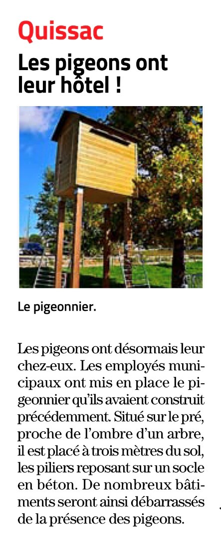 les-pigeons